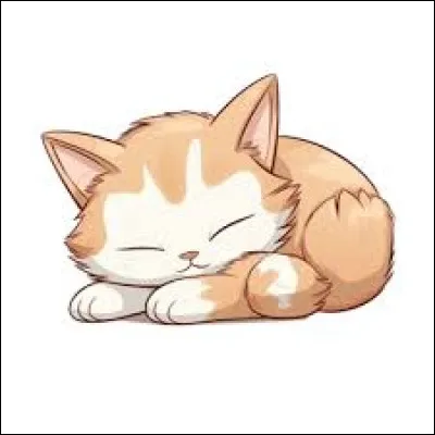 Quelle est ta couleur préférée ? (2)