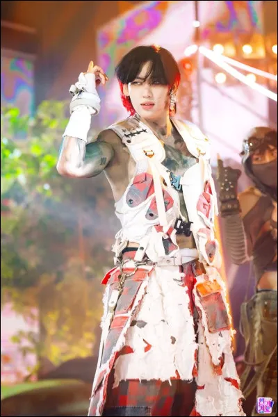 Dans l'industrie de la K-pop, existe-t-il des chanteurs solos ?