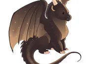 Quiz Tous les Ailes de Nuit 2 !