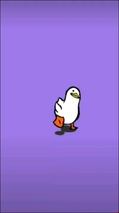Le petit du canard se nomme le caneton.