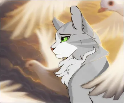 Un facile ! Ici, c'est...