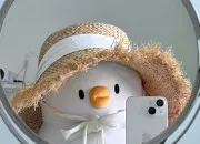 Test Je vais te dcrire en un mot !