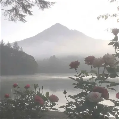 Comment préfères-tu consoler un(e) ami(e) ?