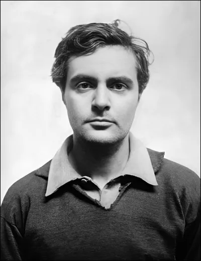 Quel peintre est ici pris en photographie ?