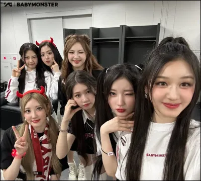 Qui est traitée de "next Sulli" ?