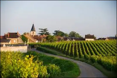 Notre balade prend fin au milieu des vignes, à Vosne-Romanée. Village viticole bourguignon, il se situe dans le département ...