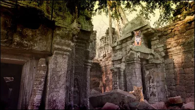 De quel film provient cette image ?
