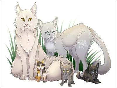 Vrai ou faux : le fils de Fleur de Saule a commencé une lignée dans le Clan de la Rivière.