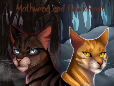 Tu n'es pas mal ! Est-ce que tu sais qui ne fait pas partie de la famille d'Étoile du Tigre parmi ceux-ci ?