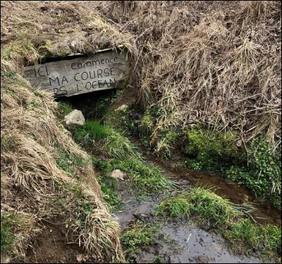 Où la Loire prend-elle sa source ?