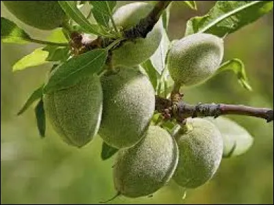 Comment s'appelait George Sand ?