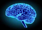 Quiz QCM 7 - Neurobiologie