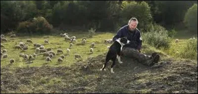 Km 62,4 : Béthune. La municipalité lui rend hommage, alors qu'elle n'y est ni née, ni décédée, en dévoilant son buste, sur le parvis de l'école de musique, parvis qui s'appelle désormais ?