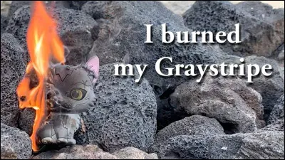 Si tu étais chef, qui serait ton modèle ?