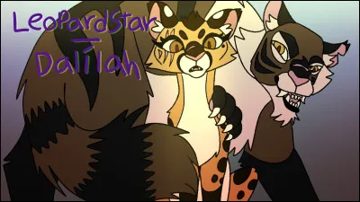 Okay, de quelle couleur sont tes yeux ?