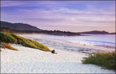 Quelle est la plus grande île du monde ?