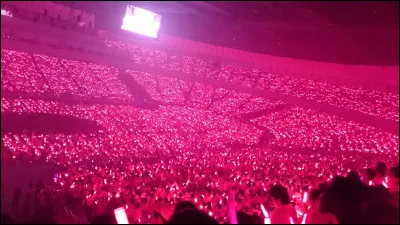Quel est le nom du fandom de Blackpink ?