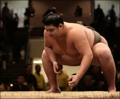 Qu'a inventé, en 1868, Louis Guillaume Perreaux ?