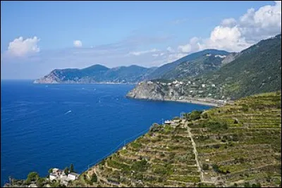 Combien de satellites a Pluton ?