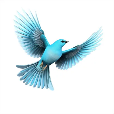 Quel est lunique mammifère capable de voler véritablement ?