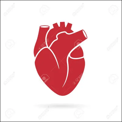 Pourquoi tombes-tu amoureux/amoureuse de quelqu'un ?