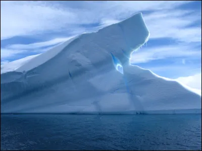 Y a-t-il de la vie sur l'Antarctique ?