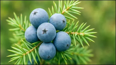 Quelle est cette teinte de bleu ?