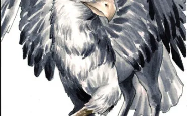 Quiz Creatures