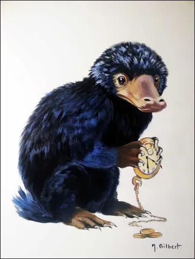 Quel animal est-ce ?