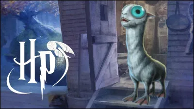 Quel créature es-ce