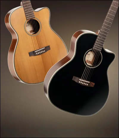 Qui était un guitariste célèbre ?