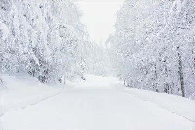 Une famille de mots a toujours le même radical.
