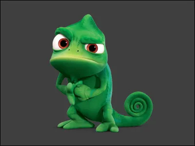 À qui appartient ce mignon petit caméléon ?