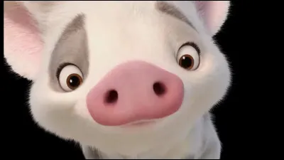 Et enfin qui est la propriétaire de cet adorable cochon ?