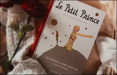 Pour toi les livres passent...