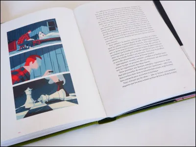 Tu préfères que le héros soit...