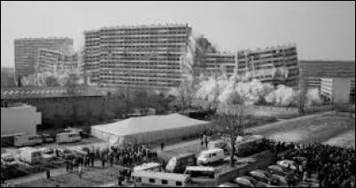 Jusqu'à quelle date faut-il remonter pour retrouver les origines du chou ?