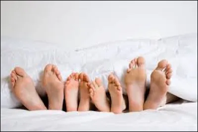 Quelle était la particularité de Charles VIII ?