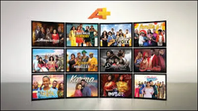 Dans l'album d'Astérix, "le combat des chefs", qui sont les antagonistes qui vont s'affronter ?