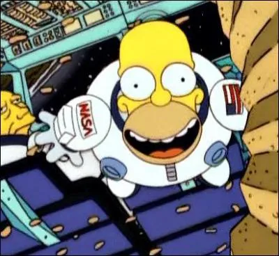 Parmi les personnes suivantes, laquelle a accompagn Homer dans l'espace ?