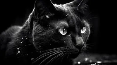 Quel instrument de musique interprète le rôle du chat dans "Pierre et le loup" ?