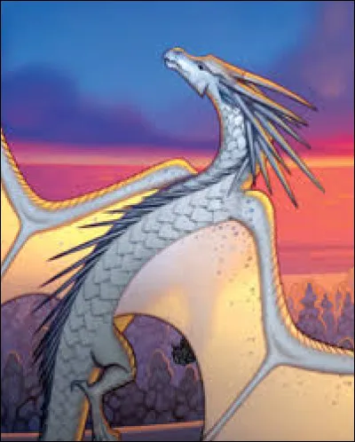 Tu préfères : (suite)