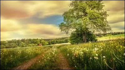 La tour Eiffel est situ&eacute;e &agrave; Strasbourg !