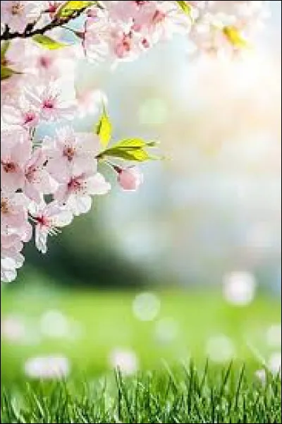 "F&uuml;nf" signifie "six" en allemand !