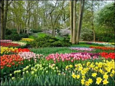 L'école d'Harry Potter est Poudlard !