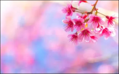 L'été suit le printemps !