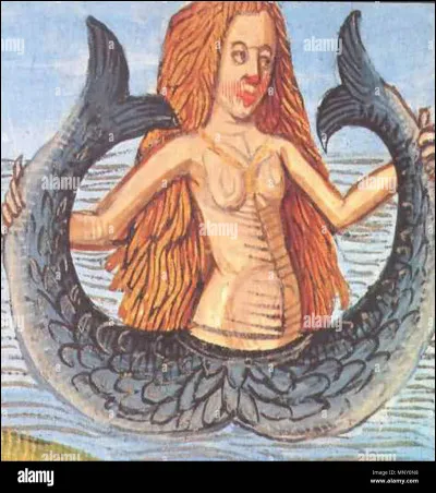 Aimes-tu &ecirc;tre m&eacute;chant ?