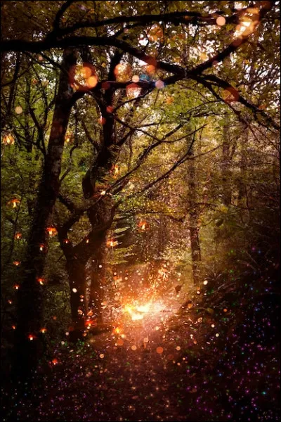 Dans un travail de groupe...