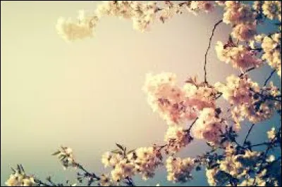 Louane a représenté la France à l'Eurovision 2025 !