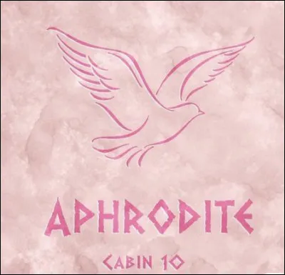 Quest-ce qui est le plus important pour toi ?